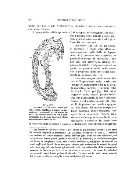 Rivista di patologia vegetale