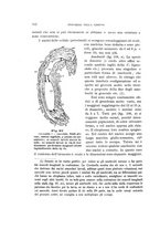 giornale/UFI0011617/1900-1901/unico/00000142