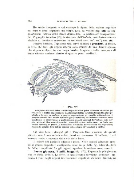 Rivista di patologia vegetale