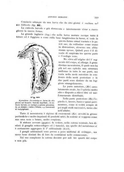 Rivista di patologia vegetale