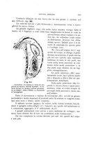 giornale/UFI0011617/1900-1901/unico/00000149