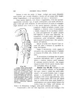 giornale/UFI0011617/1900-1901/unico/00000156