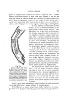 giornale/UFI0011617/1900-1901/unico/00000157