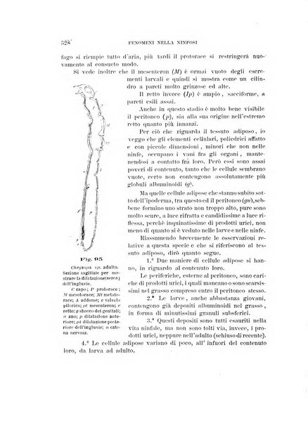 Rivista di patologia vegetale