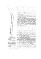 giornale/UFI0011617/1900-1901/unico/00000158