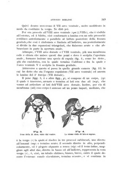 Rivista di patologia vegetale