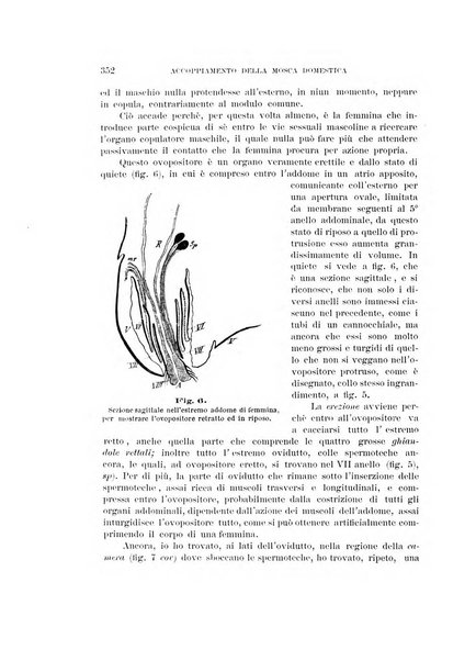 Rivista di patologia vegetale