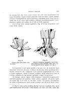 giornale/UFI0011617/1900-1901/unico/00000183