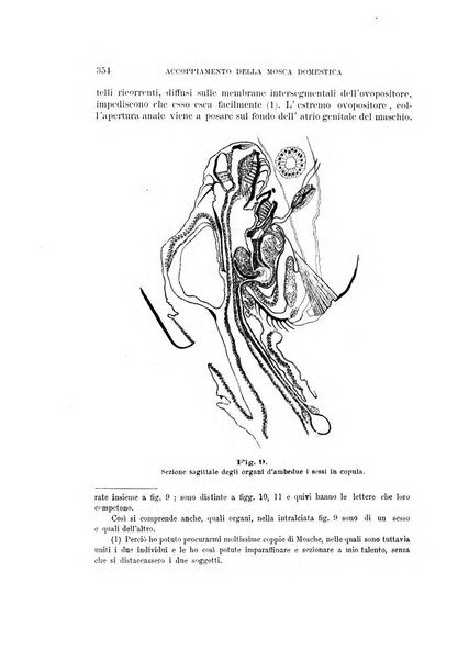 Rivista di patologia vegetale