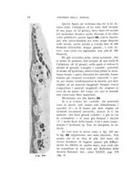 giornale/UFI0011617/1901-1902/unico/00000070