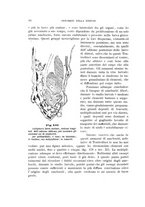 giornale/UFI0011617/1901-1902/unico/00000090