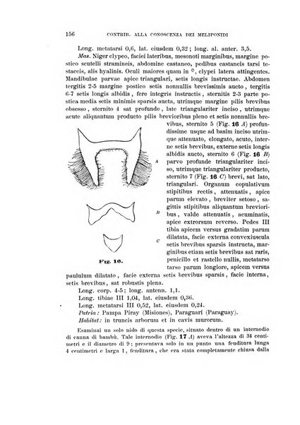 Rivista di patologia vegetale