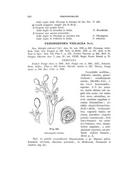 Rivista di patologia vegetale