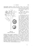 giornale/UFI0011617/1901-1902/unico/00000217
