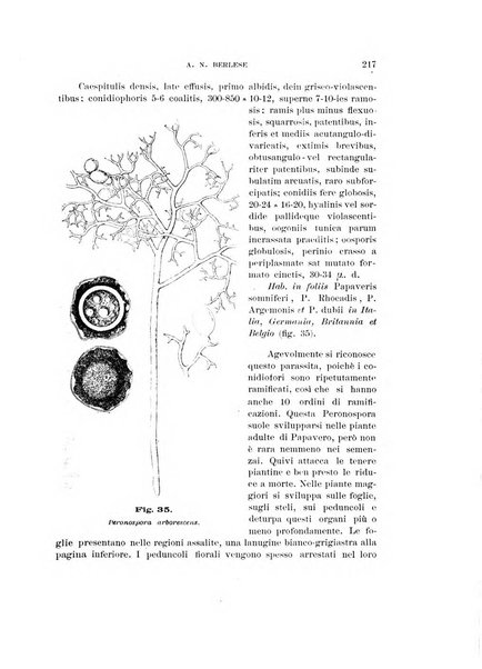 Rivista di patologia vegetale