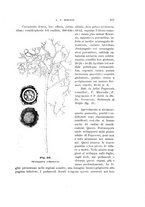 giornale/UFI0011617/1901-1902/unico/00000225