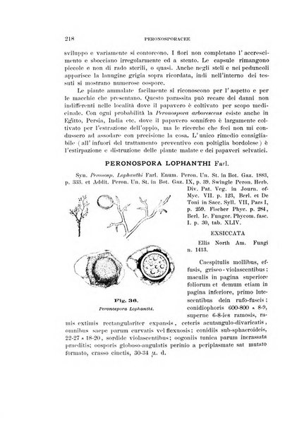 Rivista di patologia vegetale