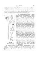 giornale/UFI0011617/1901-1902/unico/00000229