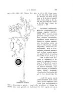 giornale/UFI0011617/1901-1902/unico/00000233