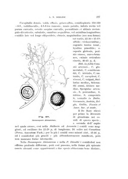 Rivista di patologia vegetale