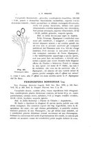 giornale/UFI0011617/1901-1902/unico/00000239