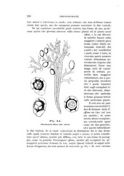 Rivista di patologia vegetale