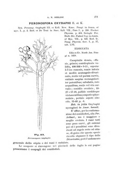 Rivista di patologia vegetale