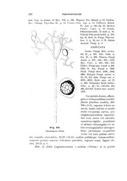 Rivista di patologia vegetale