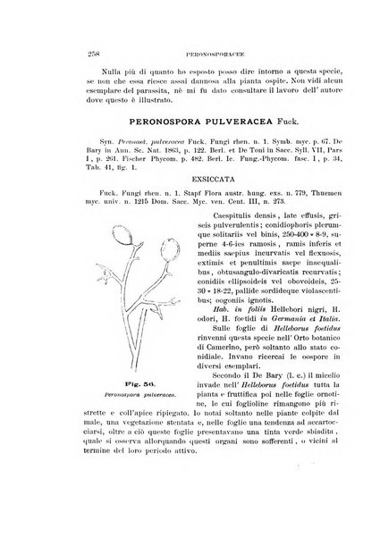 Rivista di patologia vegetale