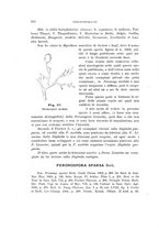 giornale/UFI0011617/1901-1902/unico/00000268
