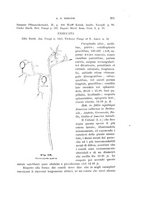 giornale/UFI0011617/1901-1902/unico/00000269