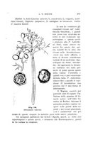 giornale/UFI0011617/1901-1902/unico/00000273