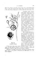 giornale/UFI0011617/1901-1902/unico/00000275