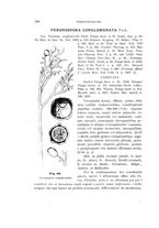 giornale/UFI0011617/1901-1902/unico/00000276