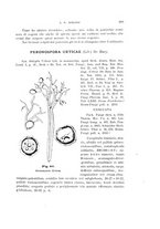 giornale/UFI0011617/1901-1902/unico/00000277