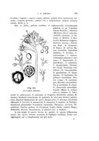 giornale/UFI0011617/1901-1902/unico/00000281