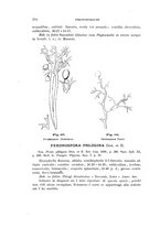 giornale/UFI0011617/1901-1902/unico/00000284