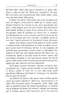 giornale/UFI0011617/1913/unico/00000139