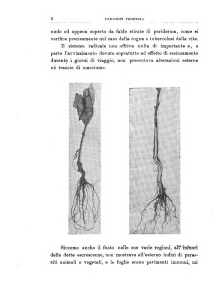 Rivista di patologia vegetale