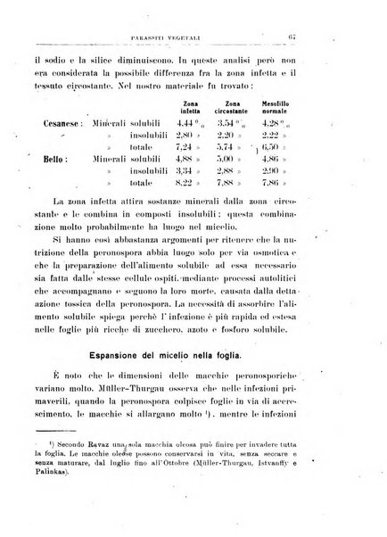 Rivista di patologia vegetale