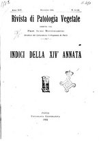 giornale/UFI0011617/1924/unico/00000005
