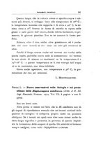 giornale/UFI0011617/1924/unico/00000203