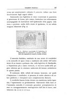 giornale/UFI0011617/1924/unico/00000233