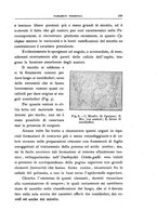 giornale/UFI0011617/1924/unico/00000235