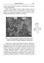 giornale/UFI0011617/1925/unico/00000213