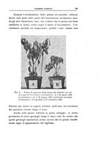 giornale/UFI0011617/1925/unico/00000215