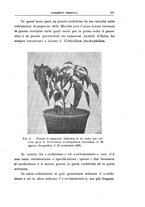 giornale/UFI0011617/1925/unico/00000217
