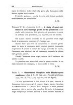 giornale/UFI0011617/1926/unico/00000296