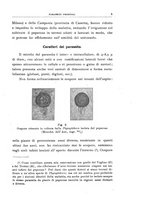 giornale/UFI0011617/1927/unico/00000063