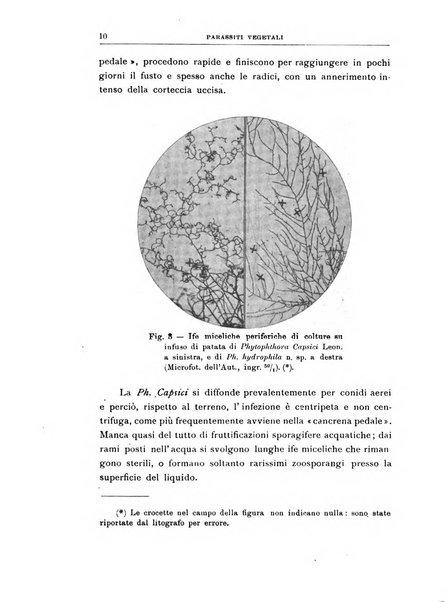 Rivista di patologia vegetale